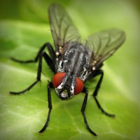 /album/empireoption/photolia-a01-jpg/