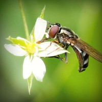 /album/empireoption/photolia-a02-jpg/