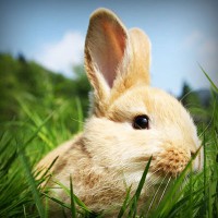 /album/empireoption/photolia-a03-jpg/