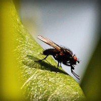 /album/empireoption/photolia-a04-jpg/