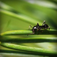 /album/empireoption/photolia-a05-jpg/