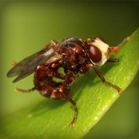 /album/empireoption/photolia-a06-jpg/