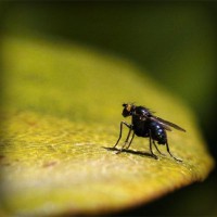 /album/empireoption/photolia-a07-jpg/