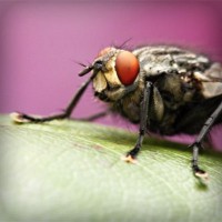 /album/empireoption/photolia-a08-jpg/